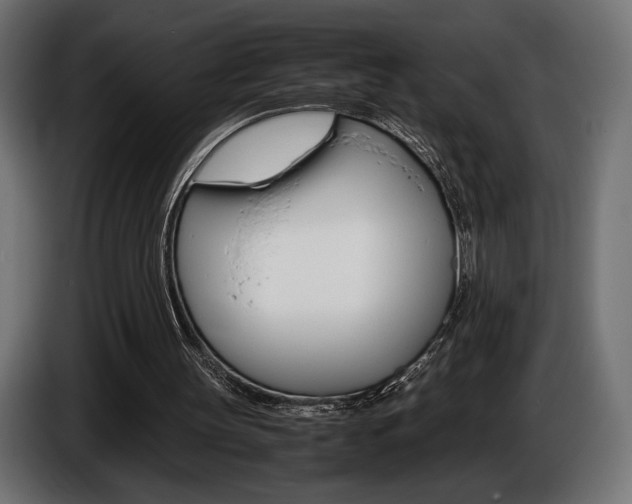 X0000086960147200704161131