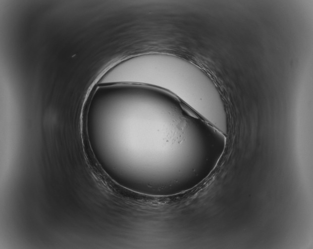 X0000086960148200704161131
