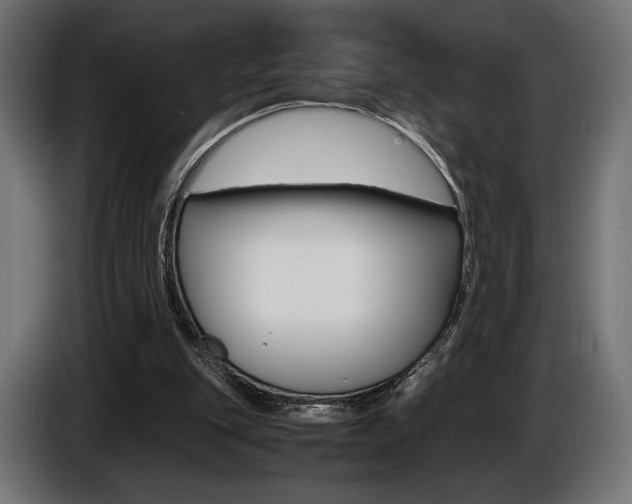 X0000086960151200704161131
