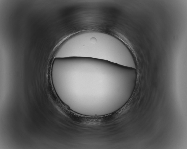 X0000086960155200704161132