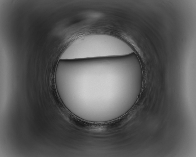 X0000086960161200704161132