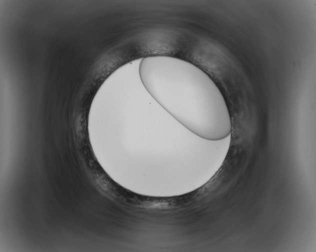 X0000086960162200704161132