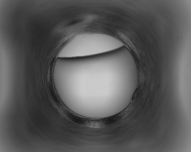 X0000086960163200704161132