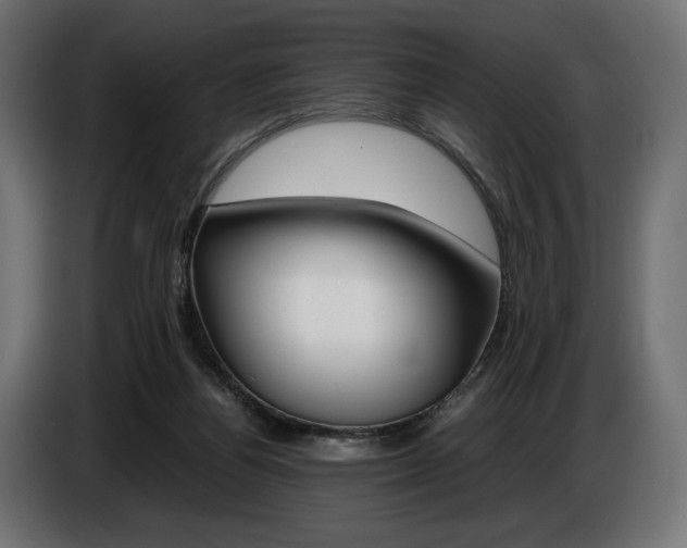 X0000086960164200704161132
