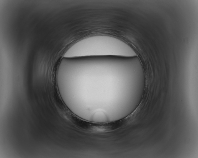 X0000086960171200704161132