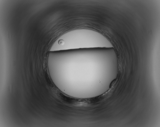 X0000086960175200704161132
