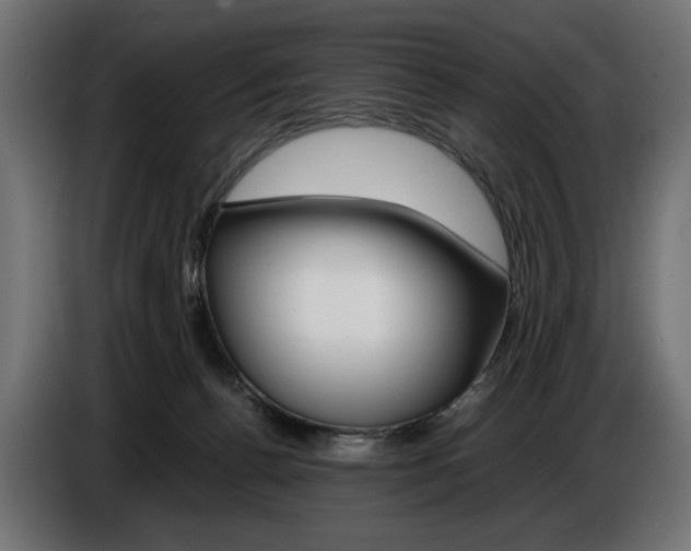 X0000086960176200704161132