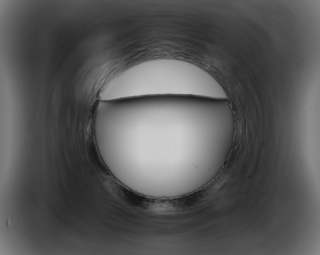 X0000086960177200704161132