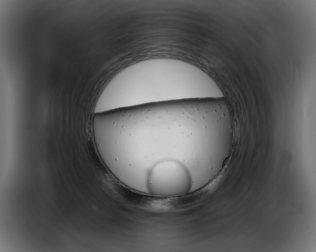 X0000086960178200704161132