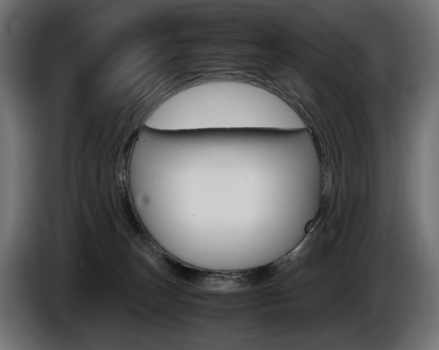 X0000086960179200704161132