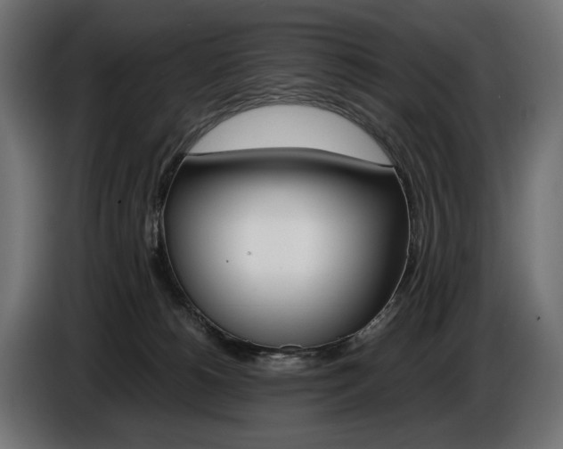 X0000086960180200704161132