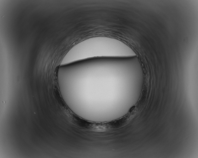 X0000086960181200704161132