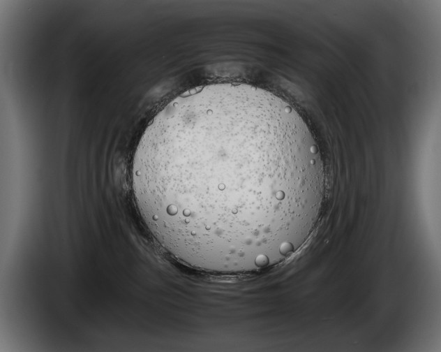 X0000086960187200704161132