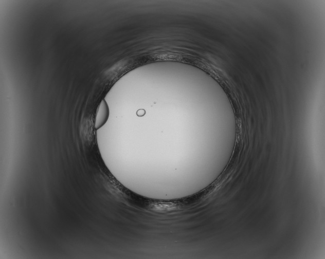 X0000086960189200704161132