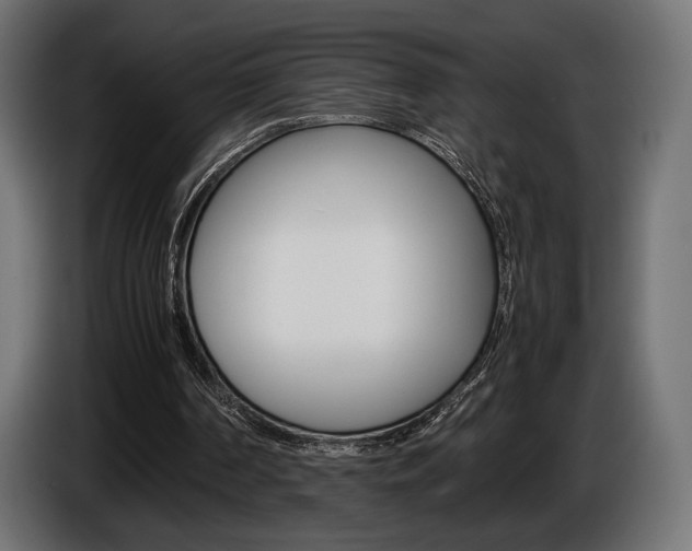 X0000086960194200704161131