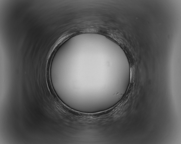 X0000086960195200704161131