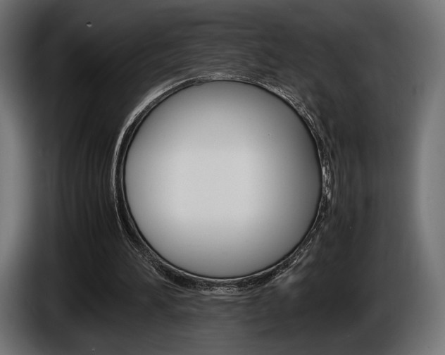 X0000086960196200704161131