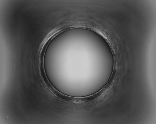 X0000086960199200704161131