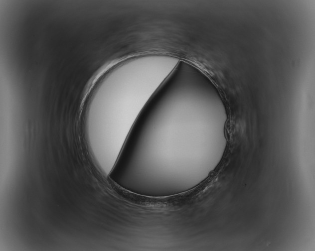 X0000086960200200704161131