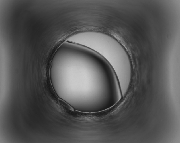 X0000086960201200704161131