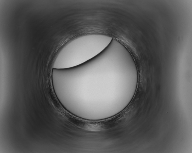 X0000086960202200704161131