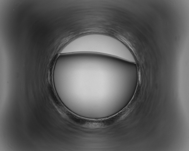 X0000086960205200704161131