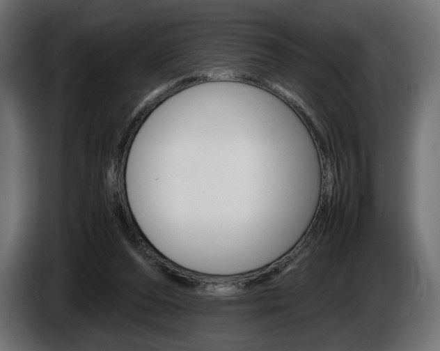 X0000086960208200704161131