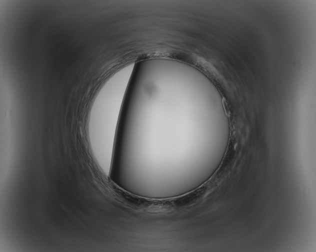 X0000086960209200704161131