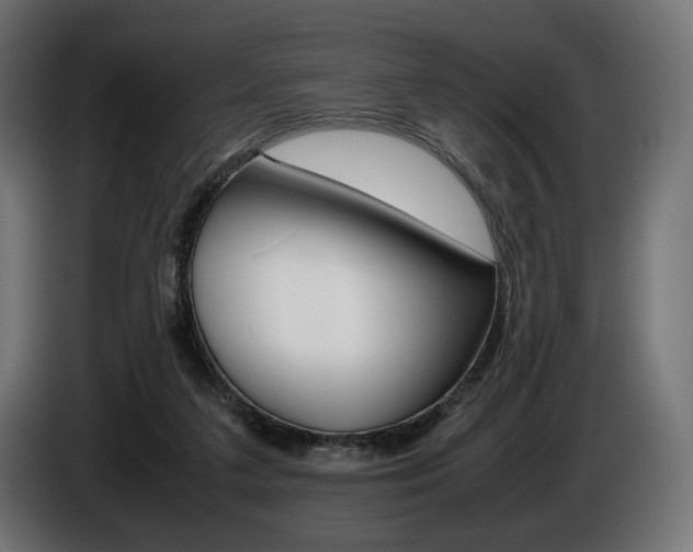 X0000086960211200704161131
