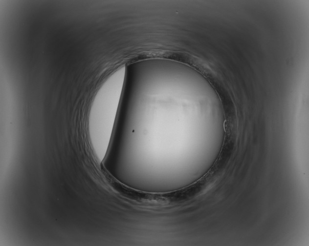 X0000086960215200704161131