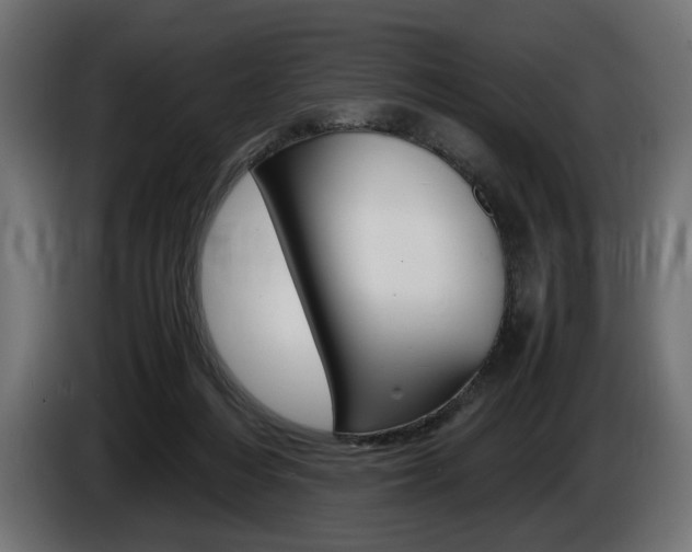 X0000086960216200704161131