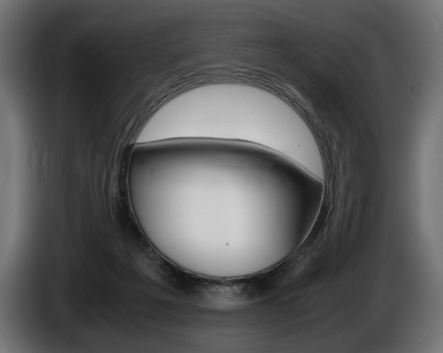X0000086960217200704161131