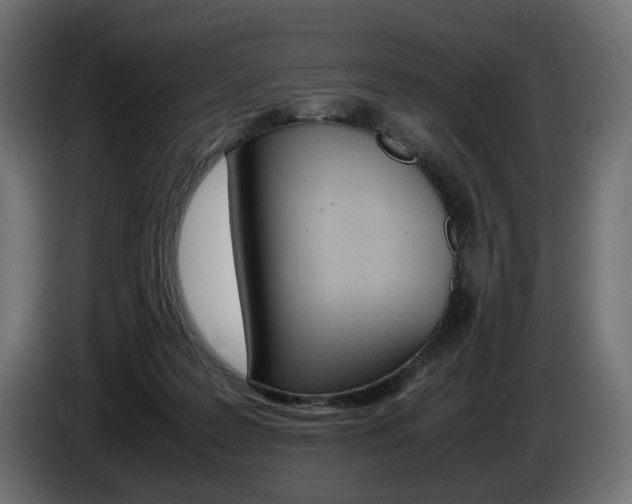 X0000086960219200704161131