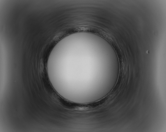 X0000086960220200704161131