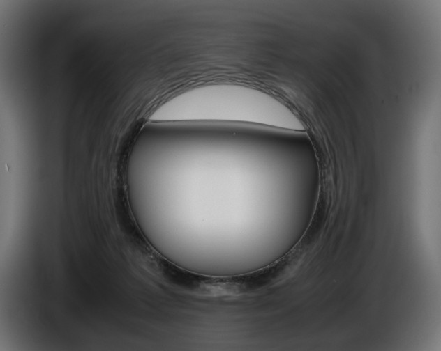 X0000086960221200704161131