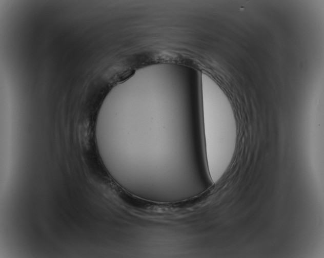 X0000086960223200704161131