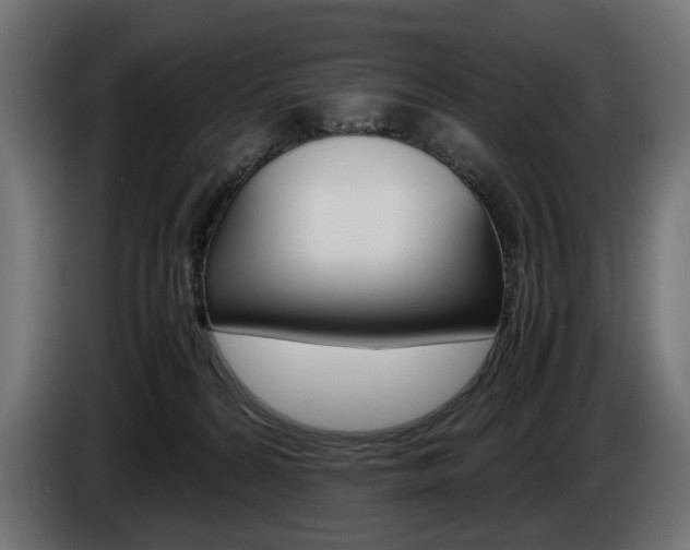 X0000086960224200704161131