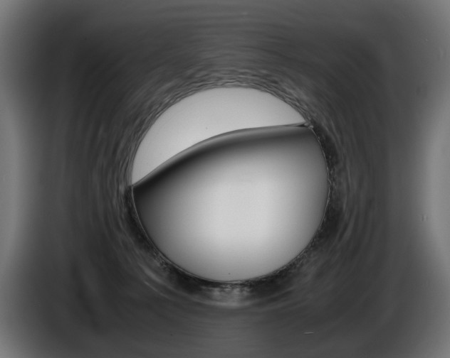 X0000086960225200704161131