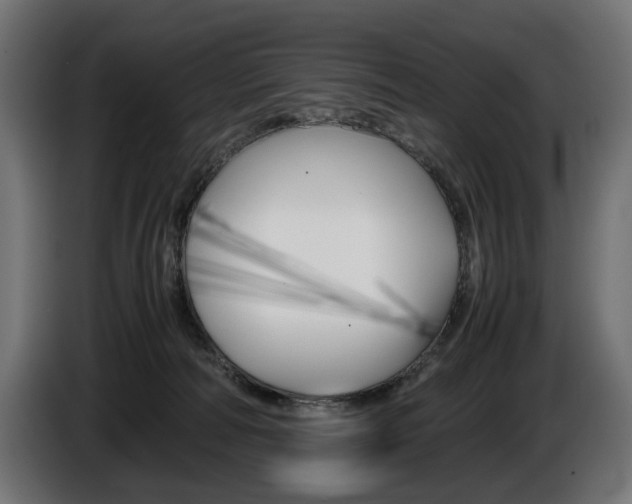 X0000086960226200704161131