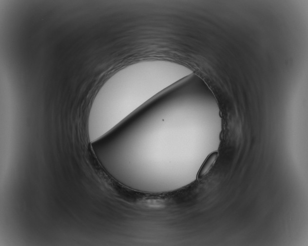 X0000086960228200704161131
