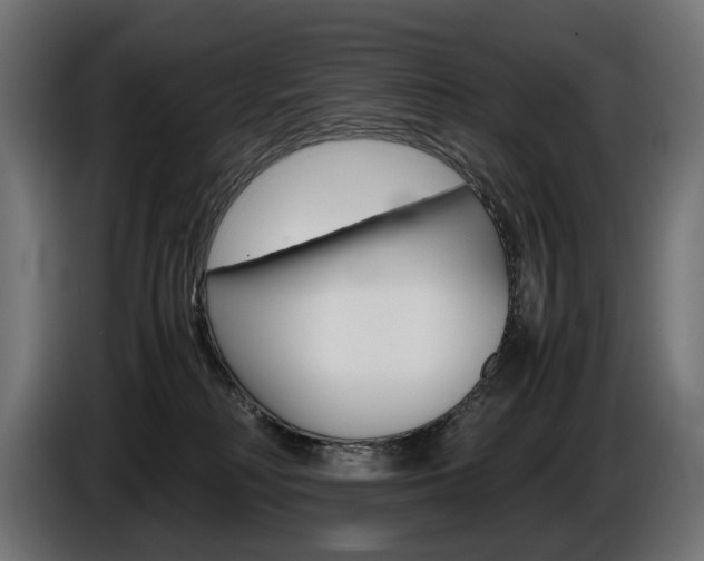 X0000086960230200704161131