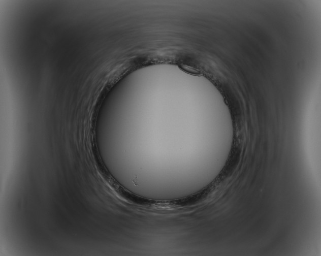X0000086960231200704161131