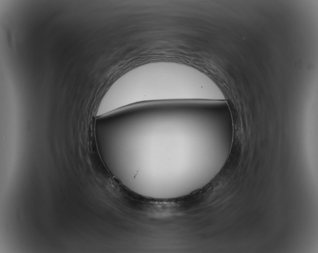 X0000086960233200704161131