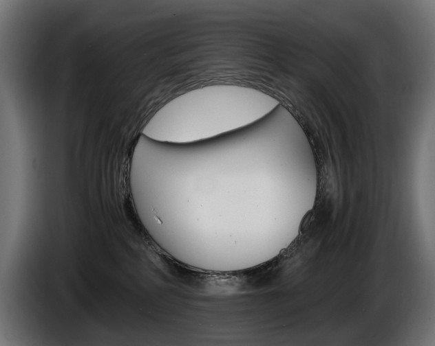 X0000086960234200704161131