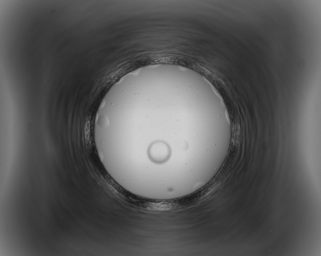 X0000086960238200704161131