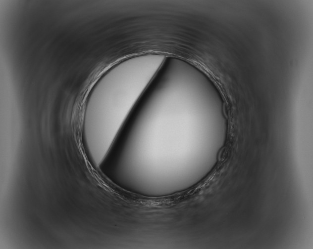 X0000086960241200704161130