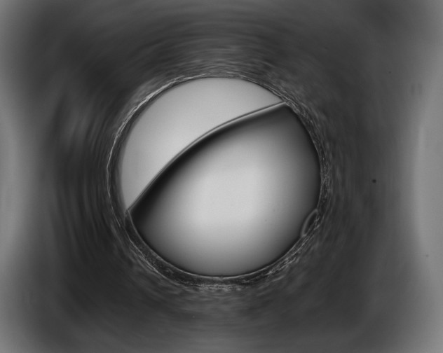 X0000086960242200704161130