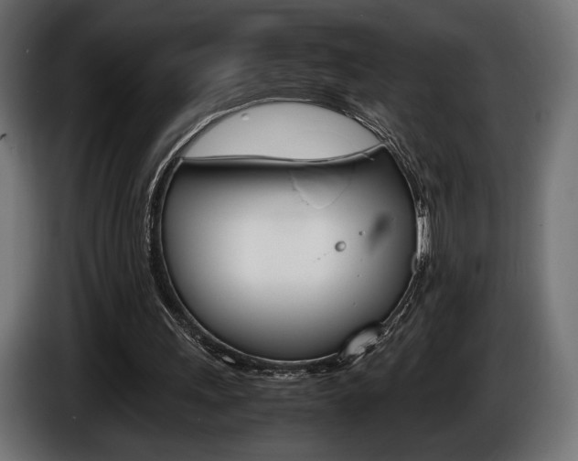 X0000086960243200704161130