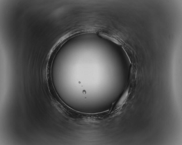 X0000086960244200704161130