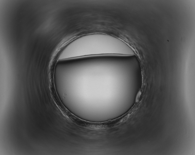 X0000086960245200704161130